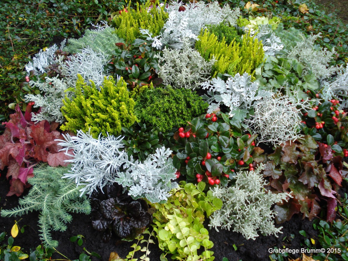 Allerheiligen Bepflanzung Grabpflege Brumm
